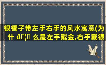 银镯子带左手右手的风水寓意(为什 🦍 么是左手戴金,右手戴银)